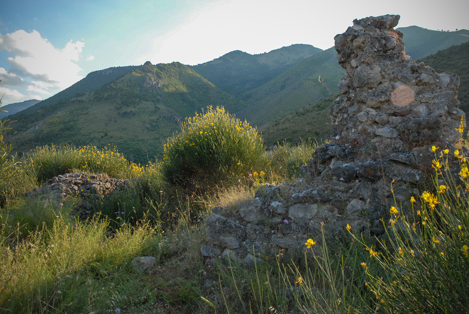 Sassone ARCHEOPOLLINO